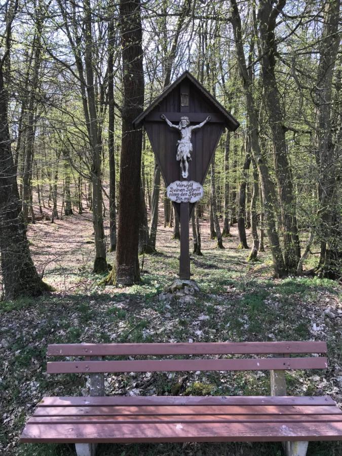 Pension-Ferienwohnung Liesbachtal Direkt Am Waldrand Bayerische Rhoen Schönau an der Brend Exterior foto