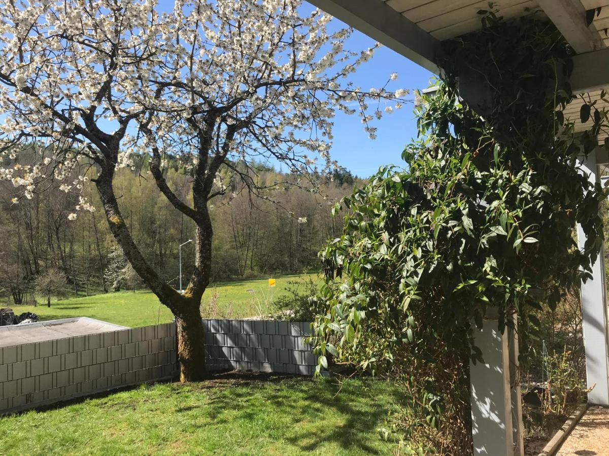 Pension-Ferienwohnung Liesbachtal Direkt Am Waldrand Bayerische Rhoen Schönau an der Brend Exterior foto