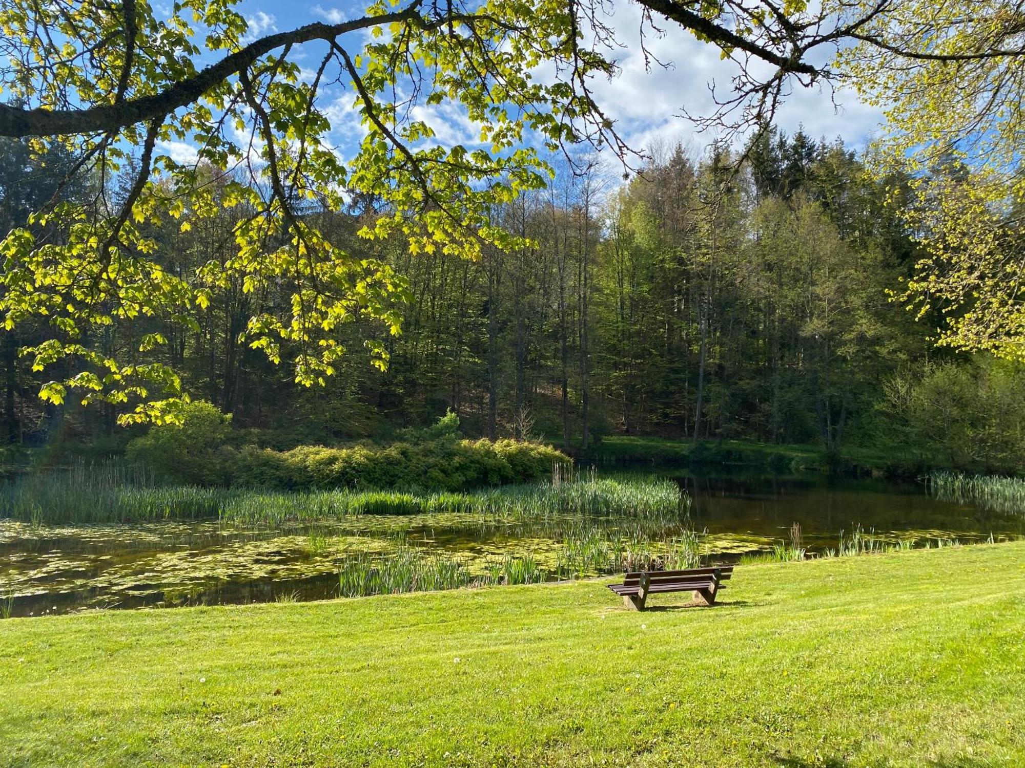 Pension-Ferienwohnung Liesbachtal Direkt Am Waldrand Bayerische Rhoen Schönau an der Brend Exterior foto